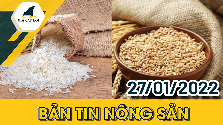 Phân Tích Nhóm Nông Sản Ngày 27/01/2022