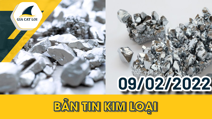 Bản Tin Nhóm Kim Loại Ngày 09/02/2022