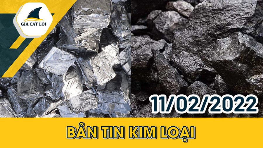 Bản Tin Nhóm Kim Loại Ngày 11/02/2022