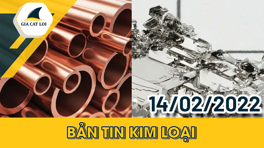 Bản Tin Nhóm Kim Loại Ngày 14/02/2022
