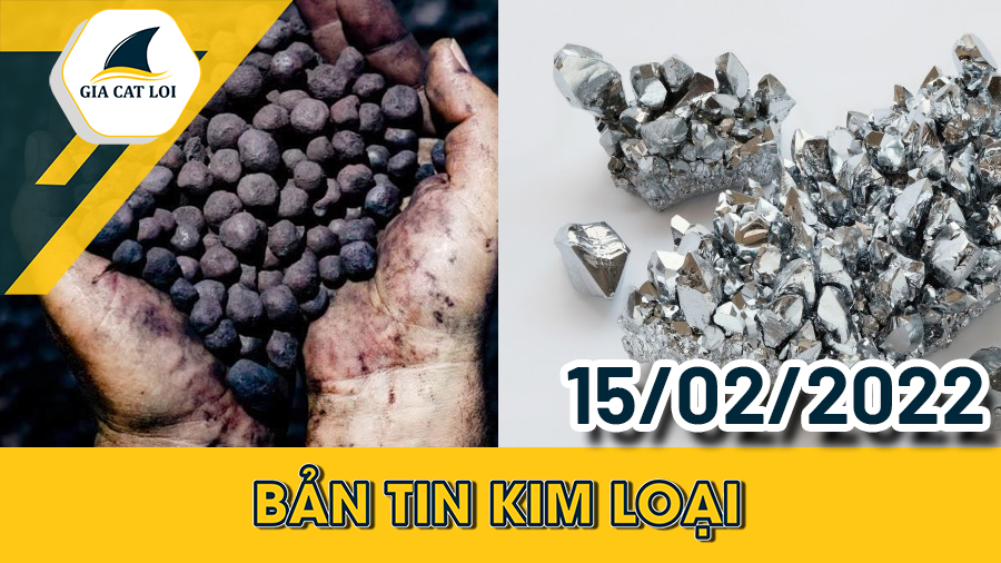 Bản Tin Nhóm Kim Loại Ngày 15/02/2022