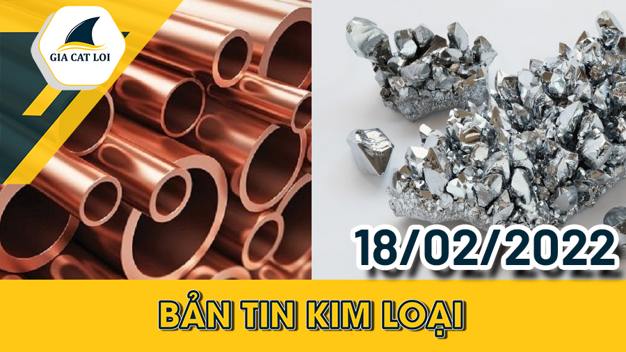 Bản Tin Nhóm Kim Loại Ngày 18/02/2022