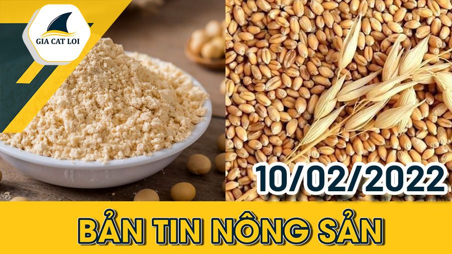 Bản Tin Nhóm Nông Sản Ngày 10/02/2022