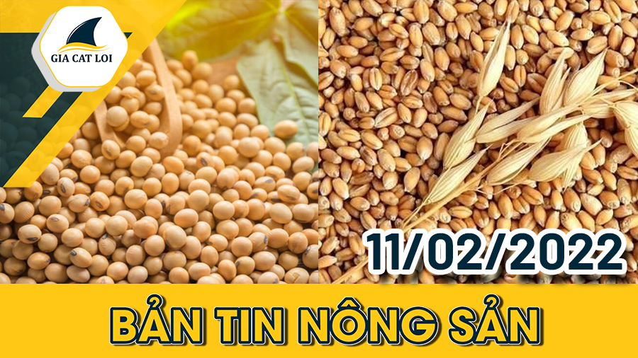 Bản Tin Nhóm Nông Sản Ngày 11/02/2022