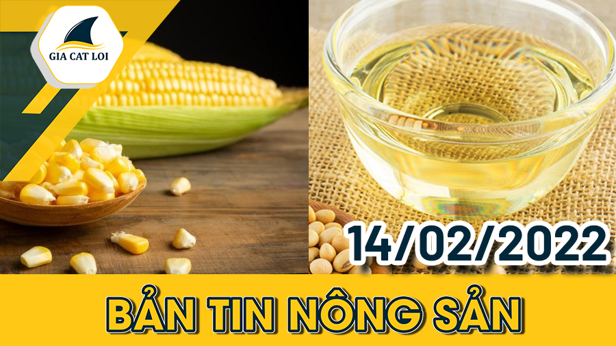 Bản Tin Nhóm Nông Sản Ngày 14/02/2022