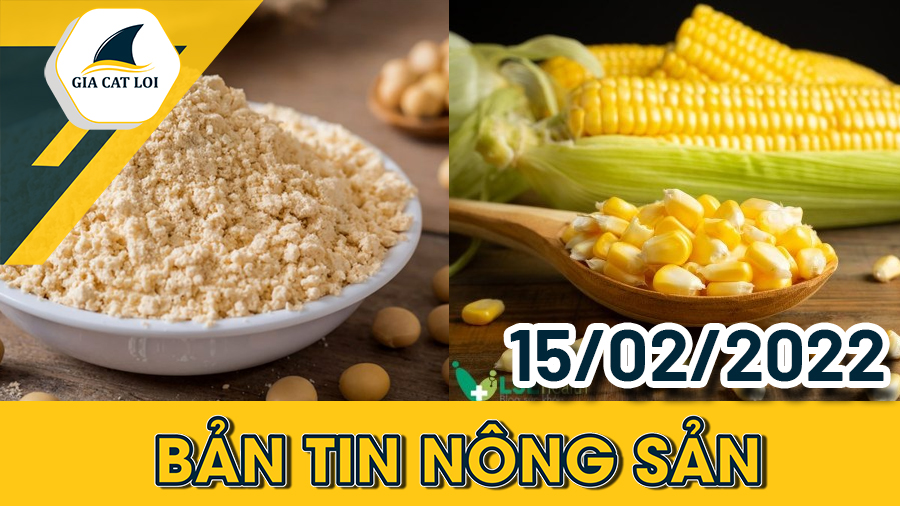 Bản Tin Nhóm Nông Sản Ngày 15/02/2022