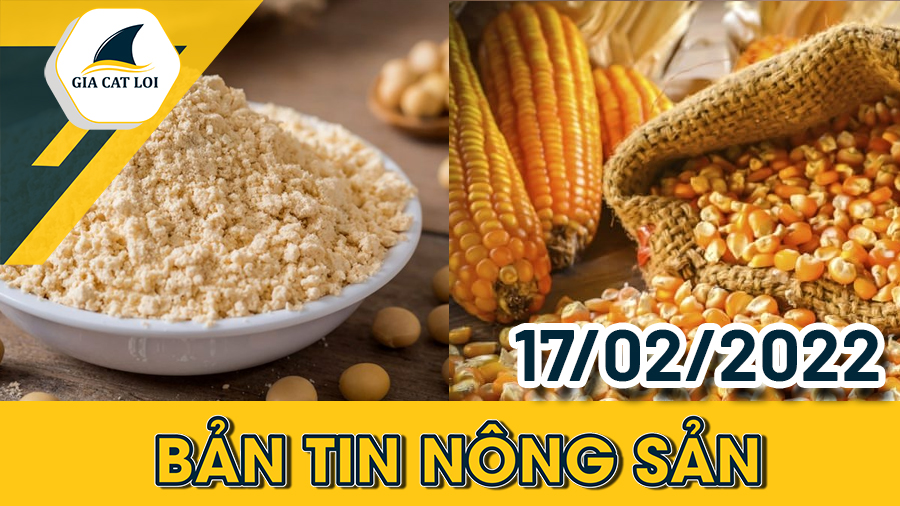 Bản Tin Nhóm Nông Sản Ngày 17/02/2022