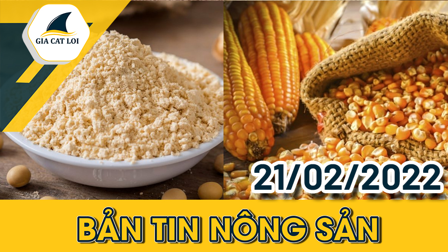 Bản Tin Nhóm Nông Sản Ngày 21/02/2022