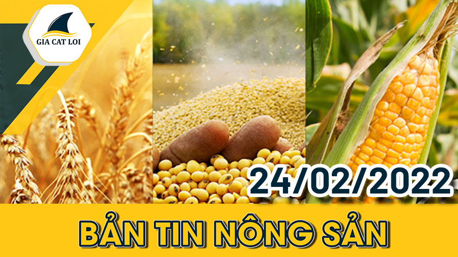Bản Tin Nhóm Nông Sản Ngày 24/02/2022