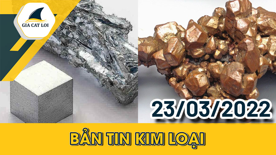 Bản Tin Nhóm Kim Loại Ngày 23/03/2022