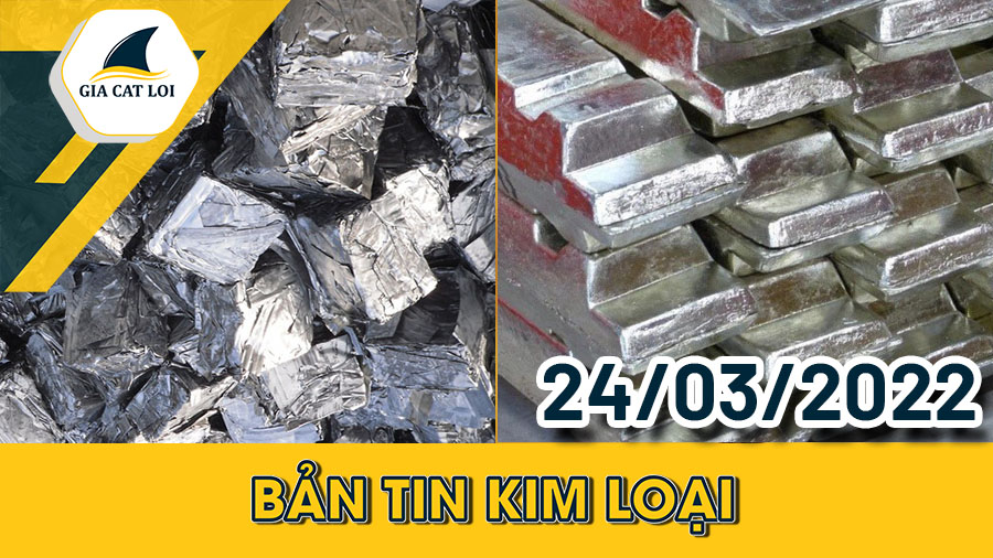 Bản Tin Nhóm Kim Loại Ngày 24/03/2022