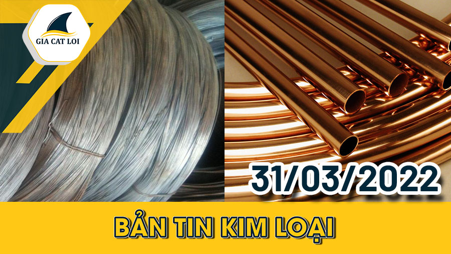 Bản Tin Nhóm Kim Loại Ngày 31/03/2022