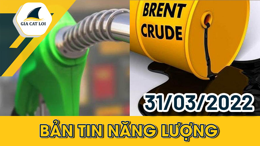Bản Tin Nhóm Năng Lượng Ngày 31/03/2022