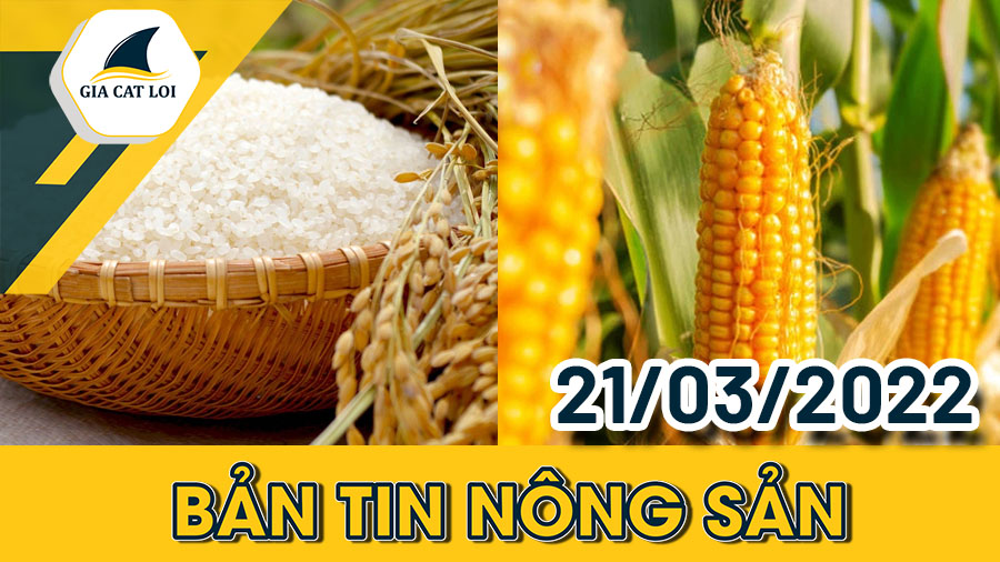 Bản Tin Nhóm Nông Sản Ngày 21/03/2022