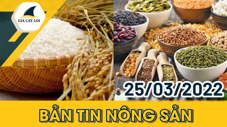 Bản Tin Nhóm Nông Sản Ngày 25/03/2022