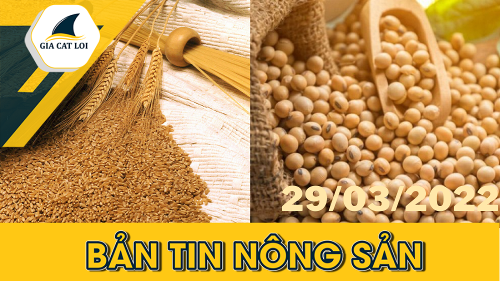 Bản Tin Nhóm Nông Sản Ngày 29/03/2022