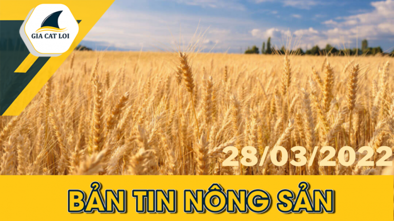Bản Tin Nhóm Nông Sản Ngày 28/03/2022