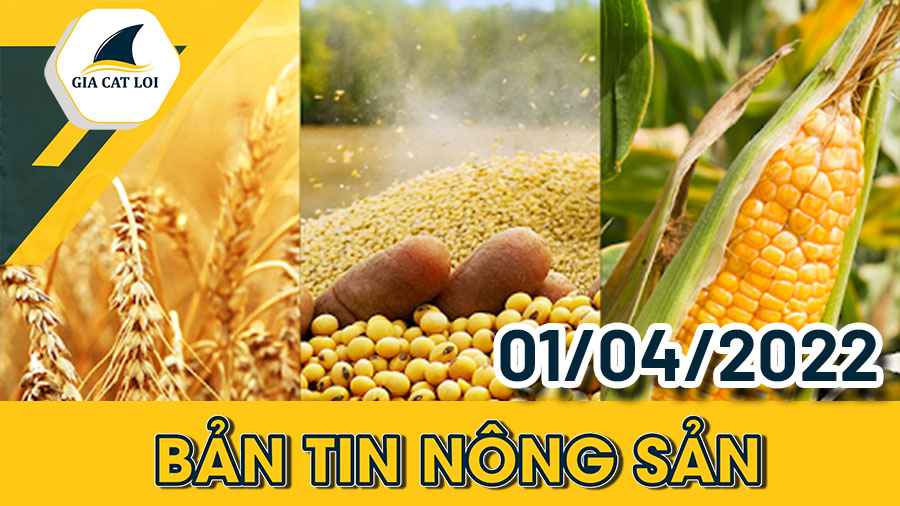 Bản Tin Nhóm Nông Sản Ngày 01/04/2022