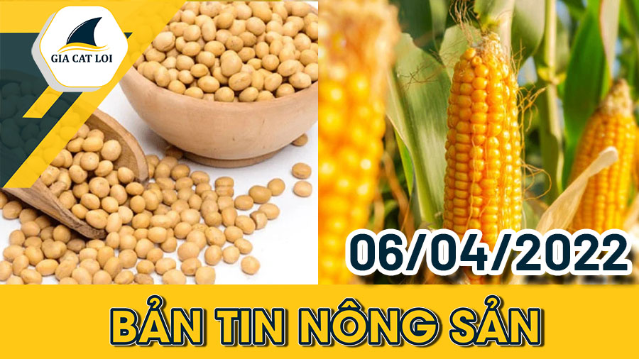 Bản Tin Nhóm Nông Sản Ngày 06/04/2022