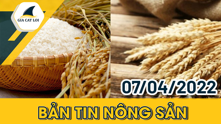 Bản Tin Nhóm Nông Sản Ngày 07/04/2022
