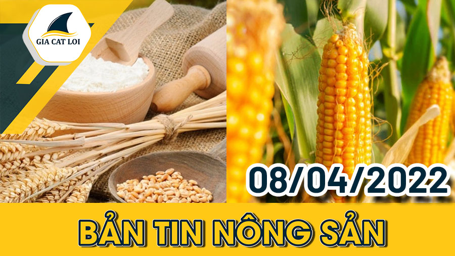 Bản Tin Nhóm Nông Sản Ngày 08/04/2022