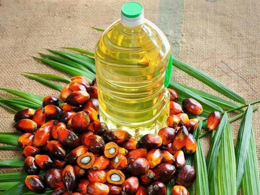 Nhận định thị trường dầu cọ hiện nay