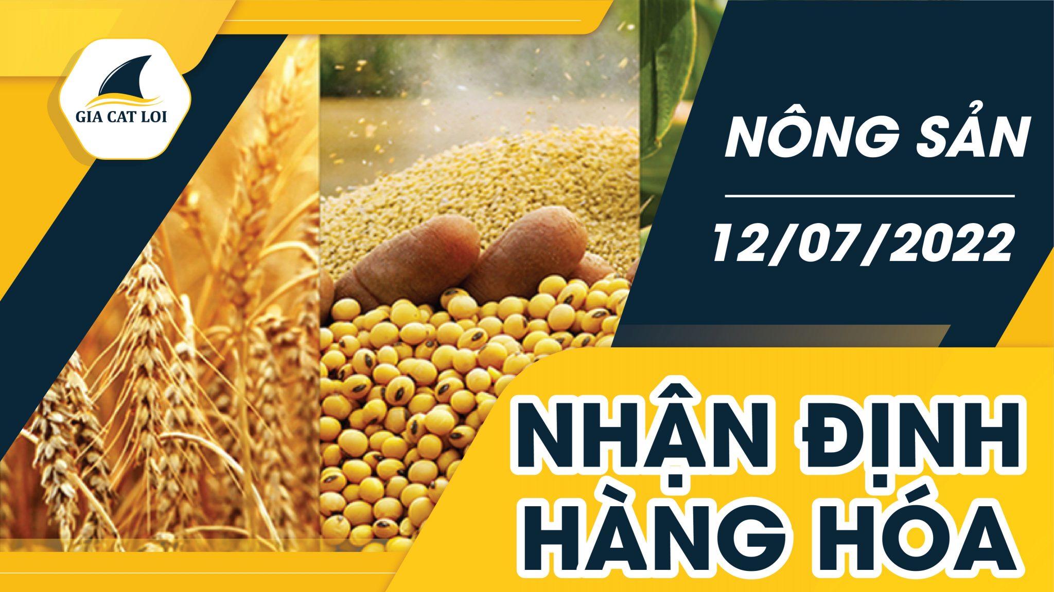 Nhận Định Thị Trường Nông Sản Ngày 12/07/2022