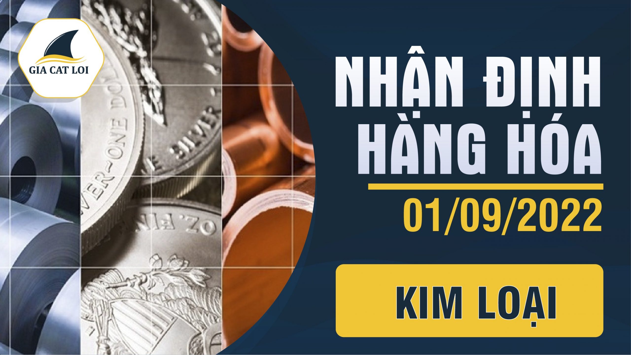 Nhận Định Hàng Hoá Kim Loại Ngày 01/09/2022