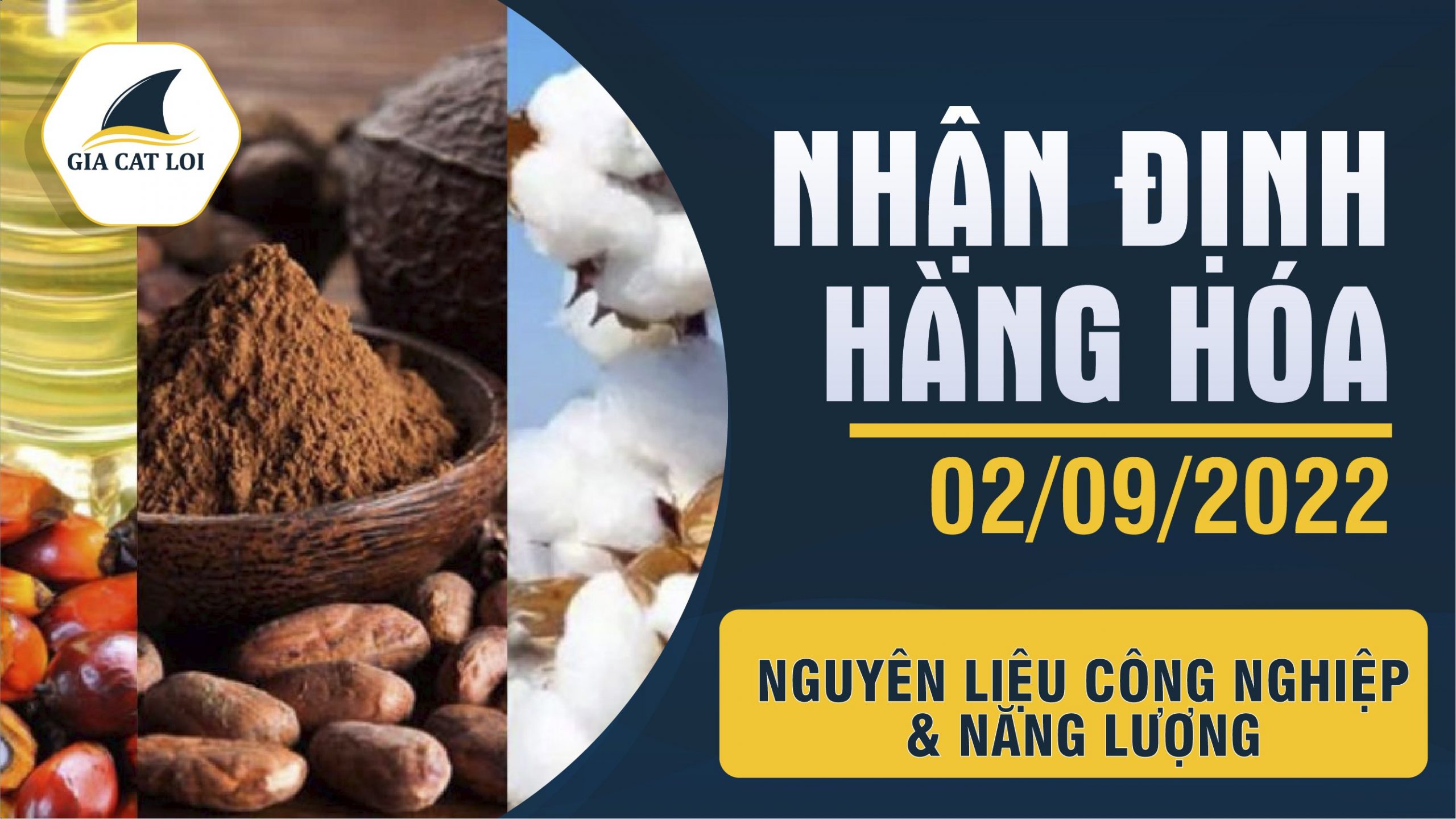 Nhận Định Hàng Hóa Năng Lượng & Nguyên Liệu Công Nghiệp Ngày 02/09/2022