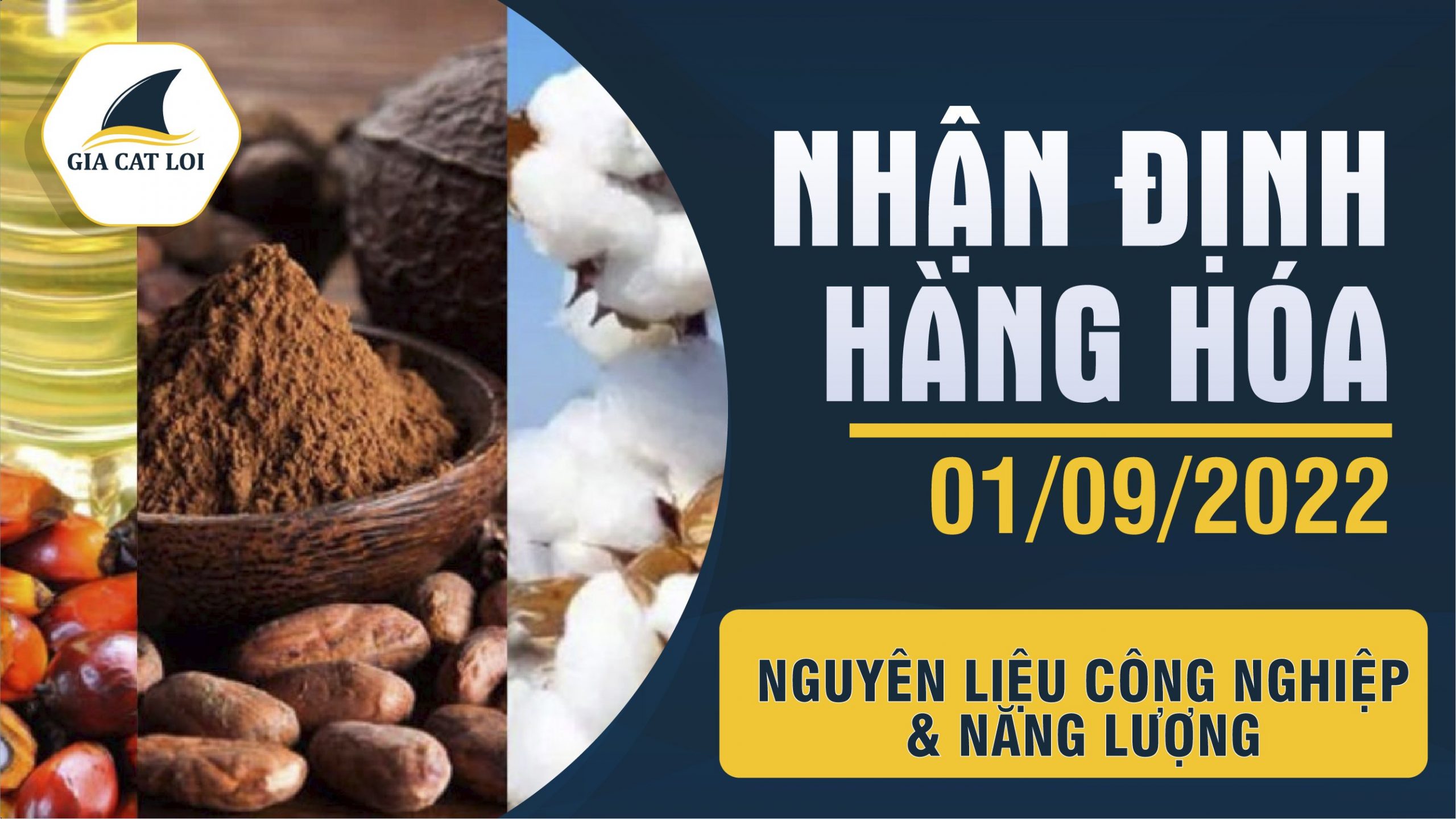 Nhận Định Hàng Hóa Năng Lượng & Nguyên Liệu Công Nghiệp Ngày 01/09/2022