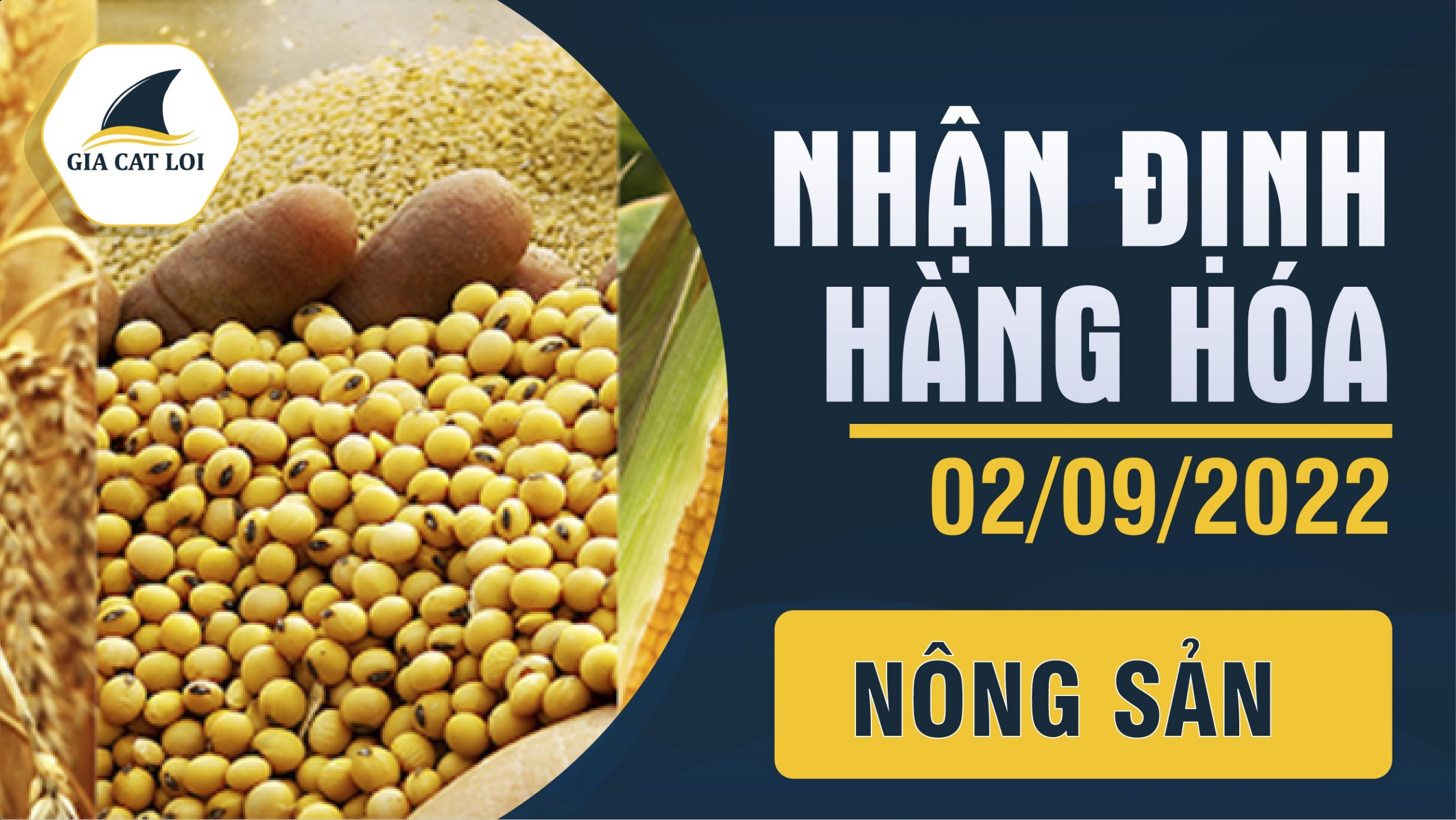 Nhận Định Hàng Hóa Nông Sản Ngày 02/09/2022