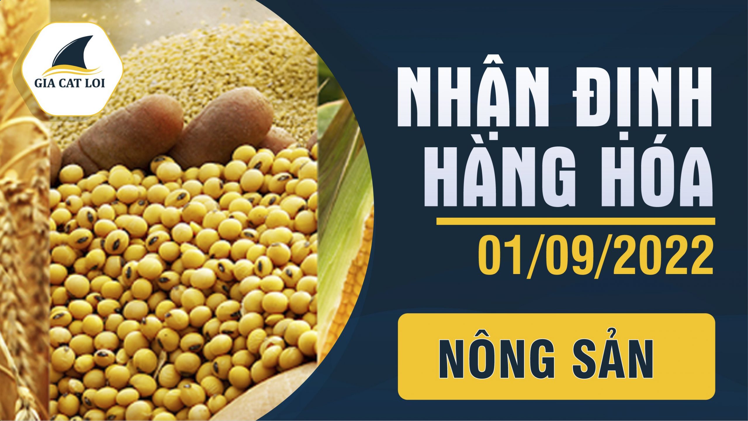 Nhận Định Hàng Hoá Nông Sản Ngày 01/09/2022