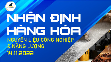 Nhận Định Hàng Hoá Năng Lượng & Nguyên Liệu Công Nghiệp Ngày 14/11/2022
