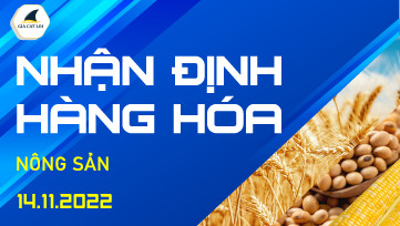 Nhận Định Hàng Hoá Nông Sản Ngày 14/11/2022