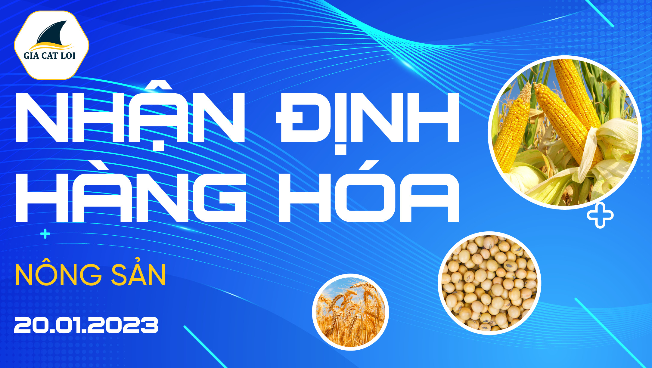 Nhận Định Hàng Hoá Nông Sản Ngày 20/01/2023
