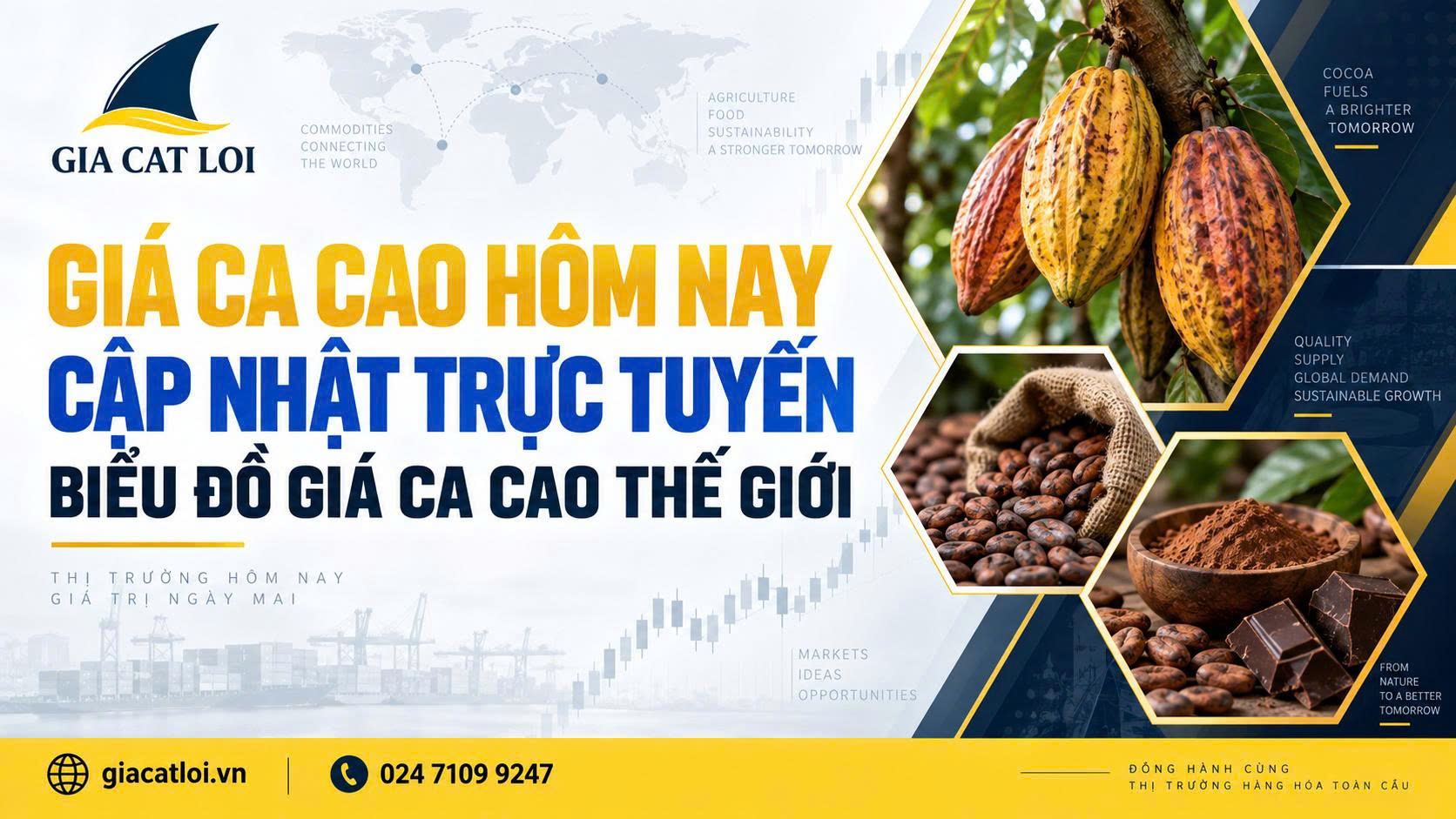 Giá Ca Cao Trực Tuyến Hôm Nay Trong Nước Và Thế Giới