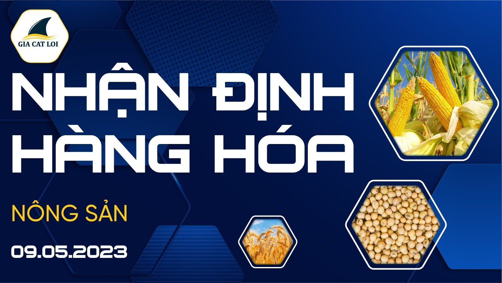 Nhận Định Hàng Hoá Nông Sản Ngày 09/05/2023