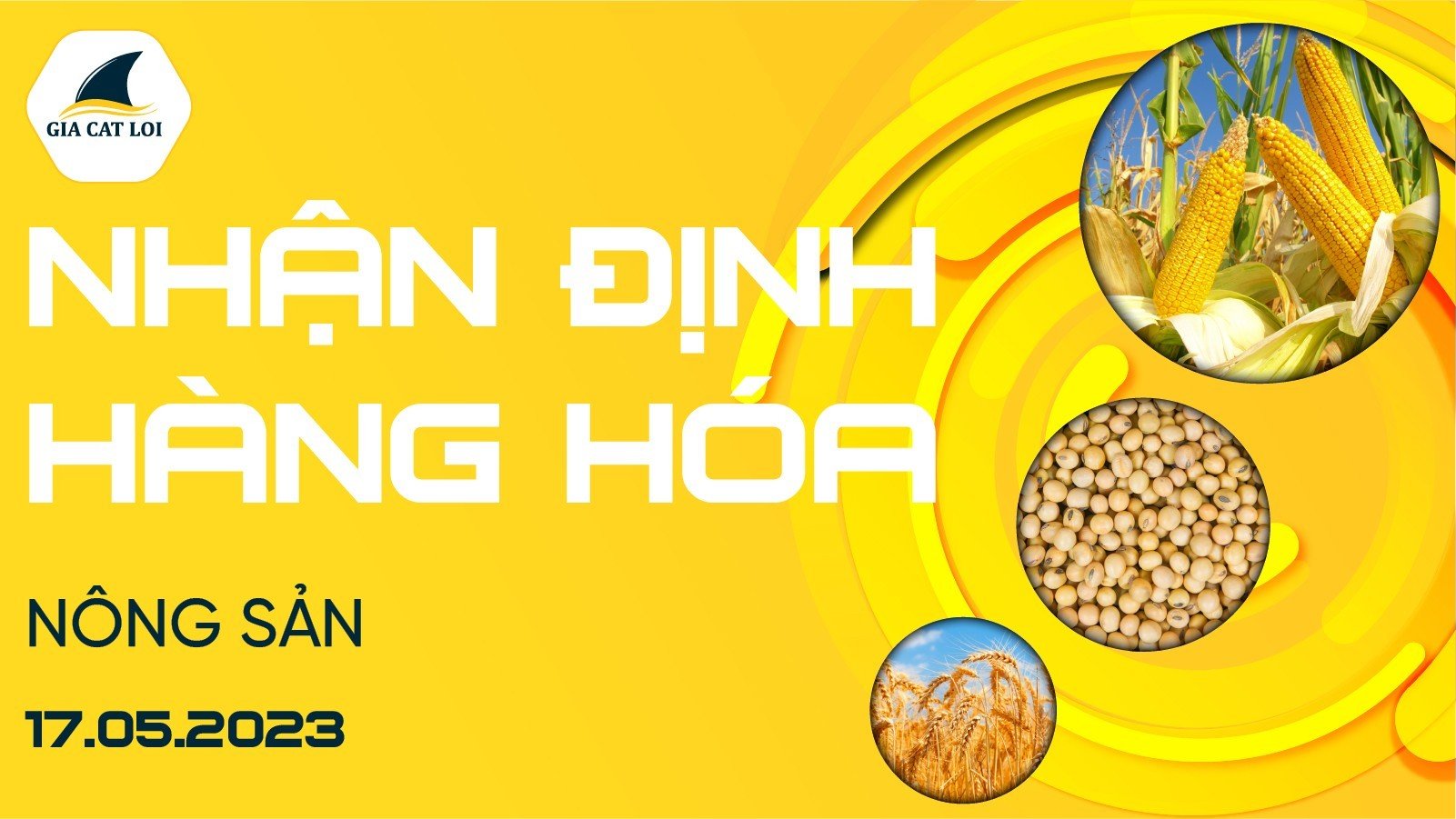 Nhận Định Hàng Hoá Nông Sản Ngày 17/05/2023