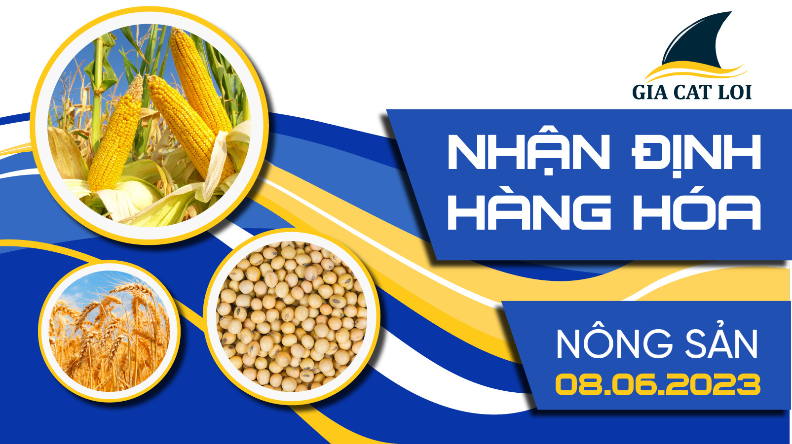 Nhận Định Hàng Hoá Nông Sản Ngày 08/06/2023