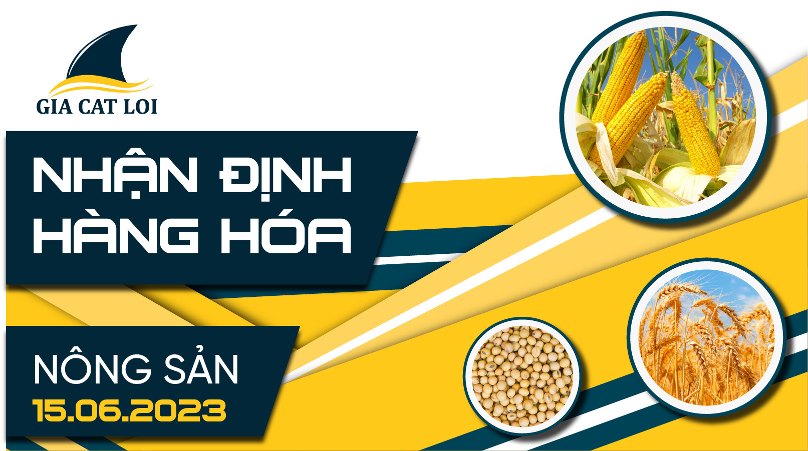 Nhận Định Hàng Hoá Nông Sản Ngày 15/06/2023