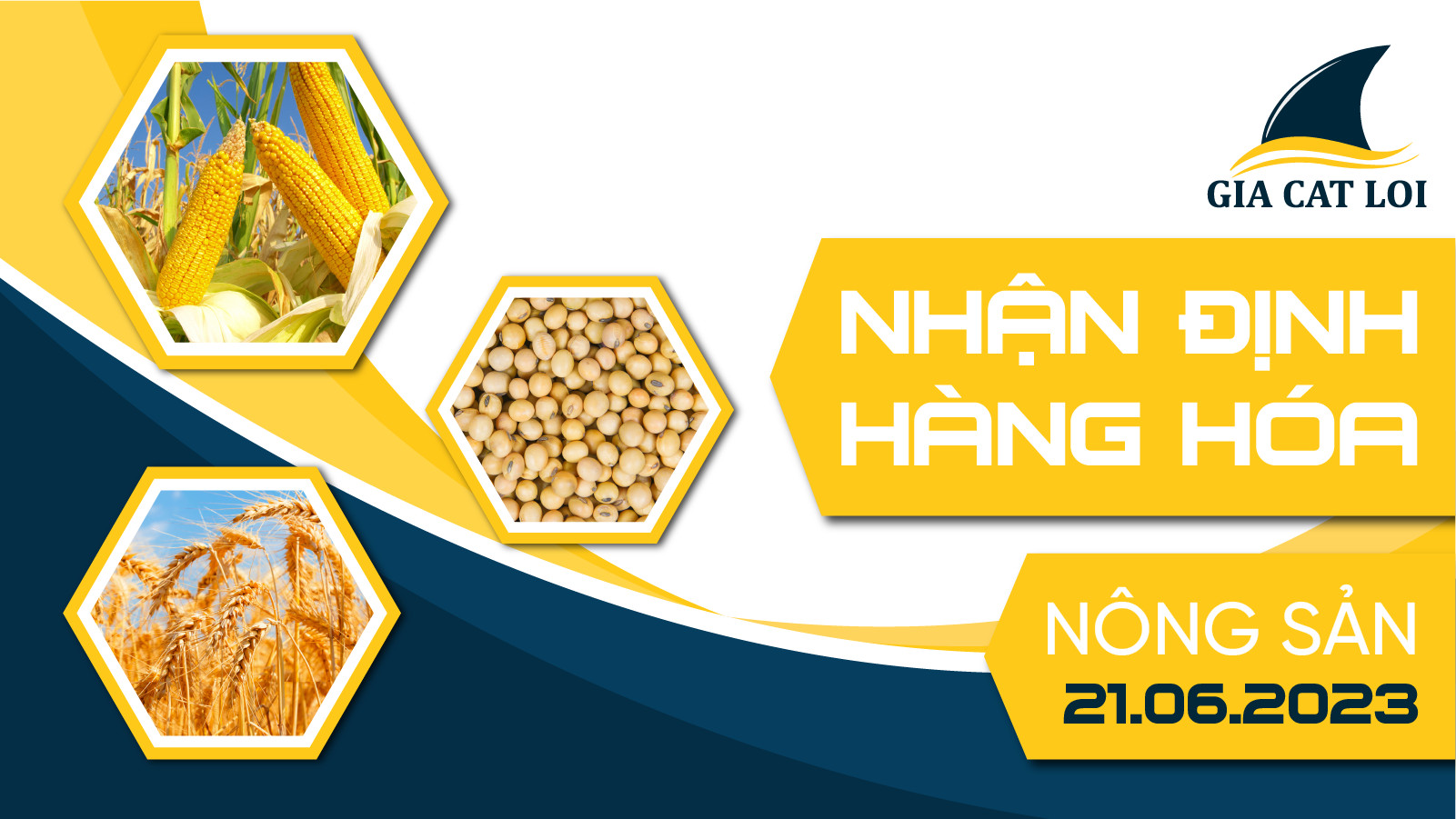 Nhận Định Hàng Hoá Nông Sản Ngày 21/06/2023