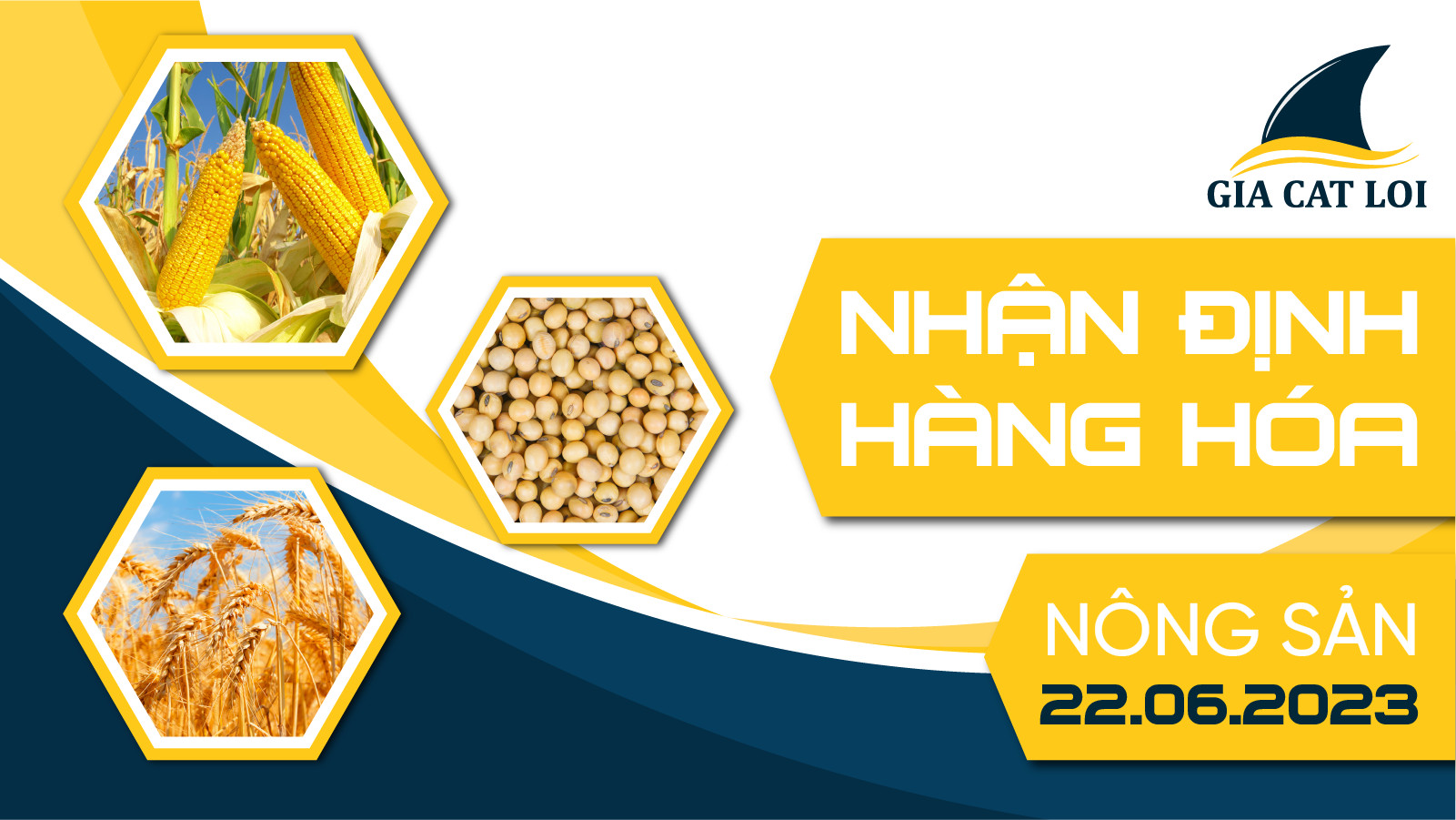 Nhận Định Hàng Hoá Nông Sản Ngày 22/06/2023