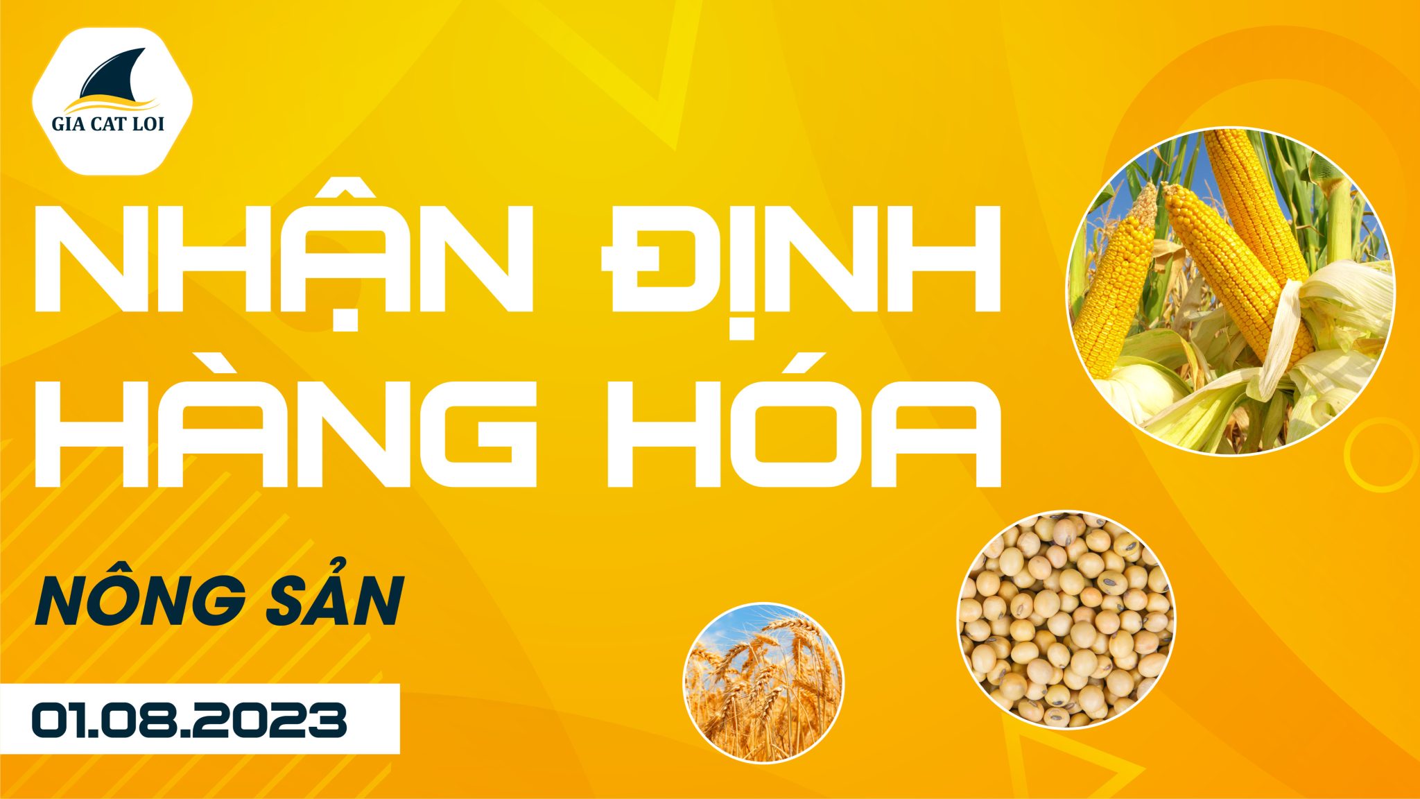 Nhận Định Hàng Hoá Nông Sản Ngày 01/08/2023