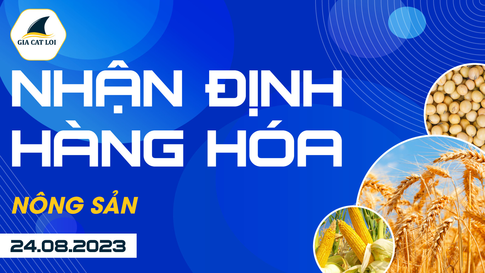 Nhận Định Hàng Hoá Nông Sản Ngày 24/08/2023