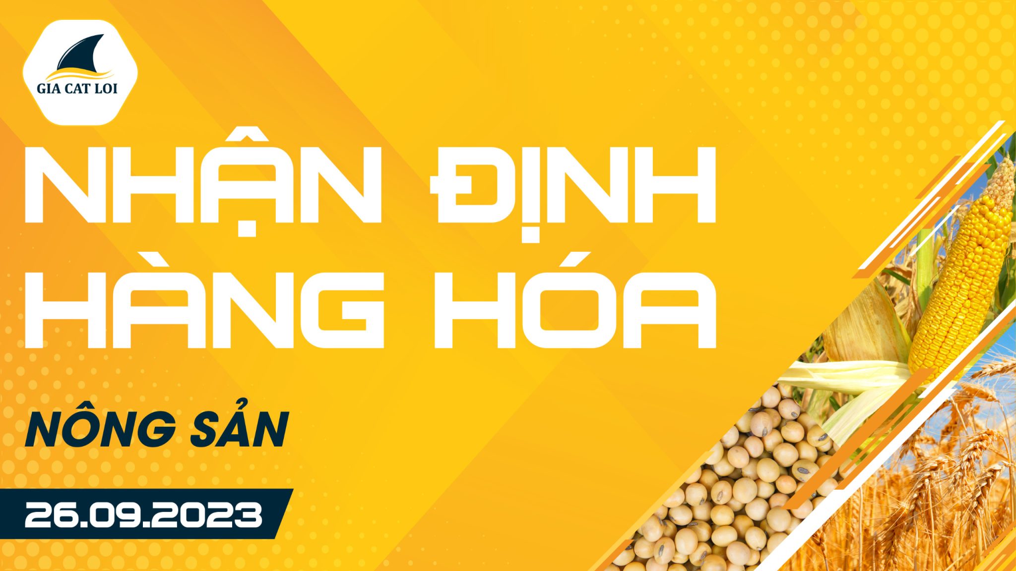 Nhận Định Hàng Hoá Nông Sản Ngày 26/09/2023