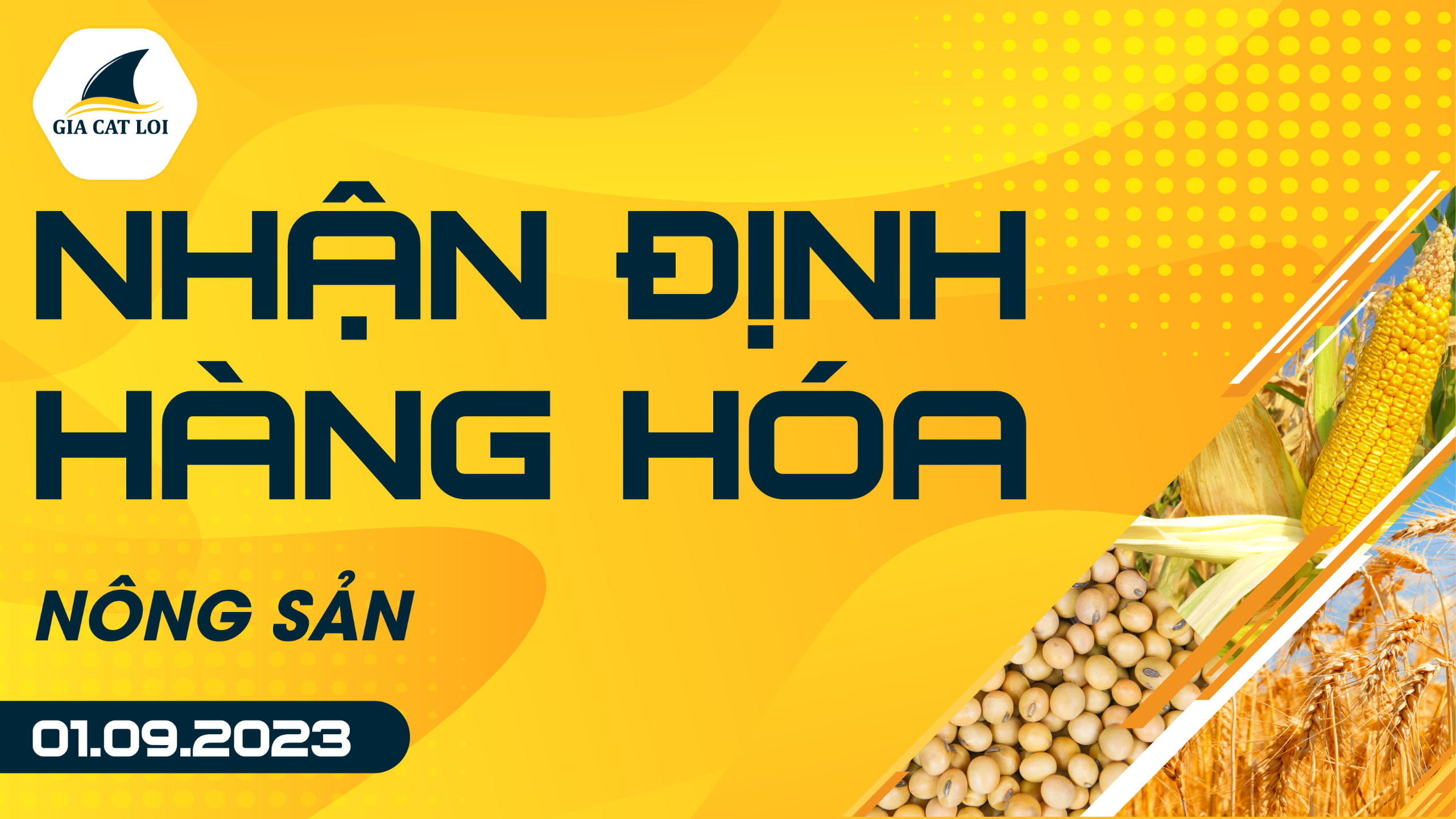 Nhận Định Hàng Hóa Nông Sản Ngày 01/09/2023