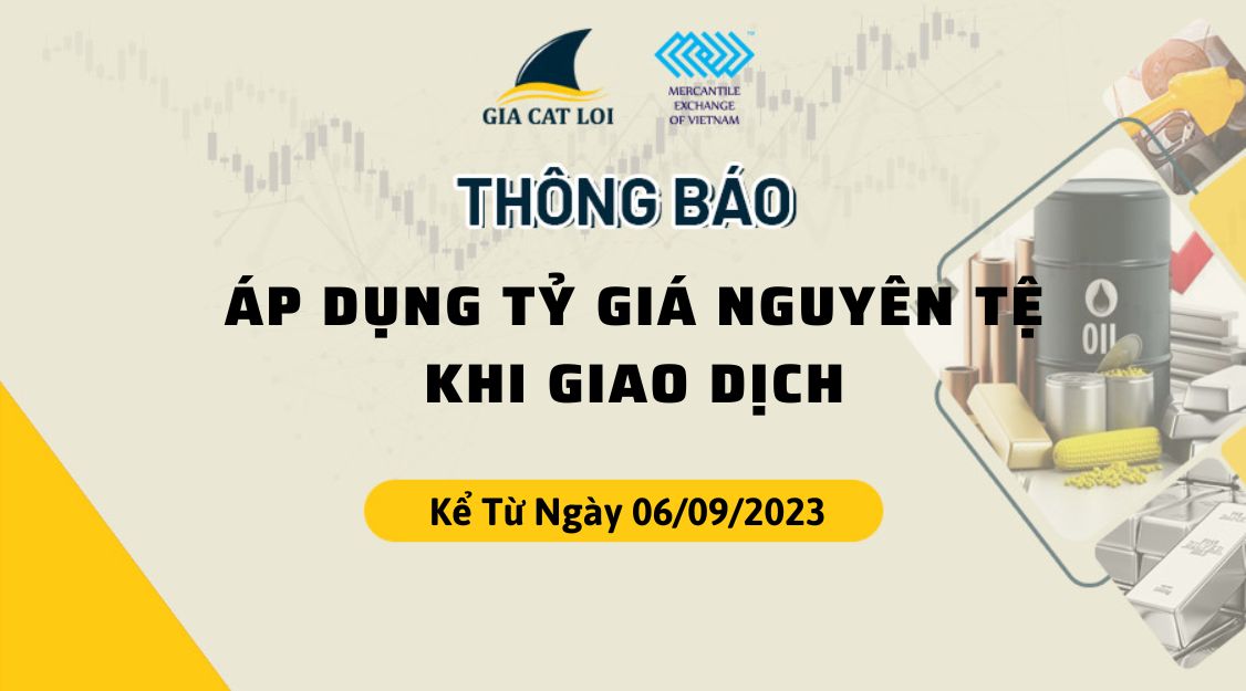 Thông Báo Áp Dụng Tỷ Giá Nguyên Tệ Kể Từ Ngày 06/09/2023