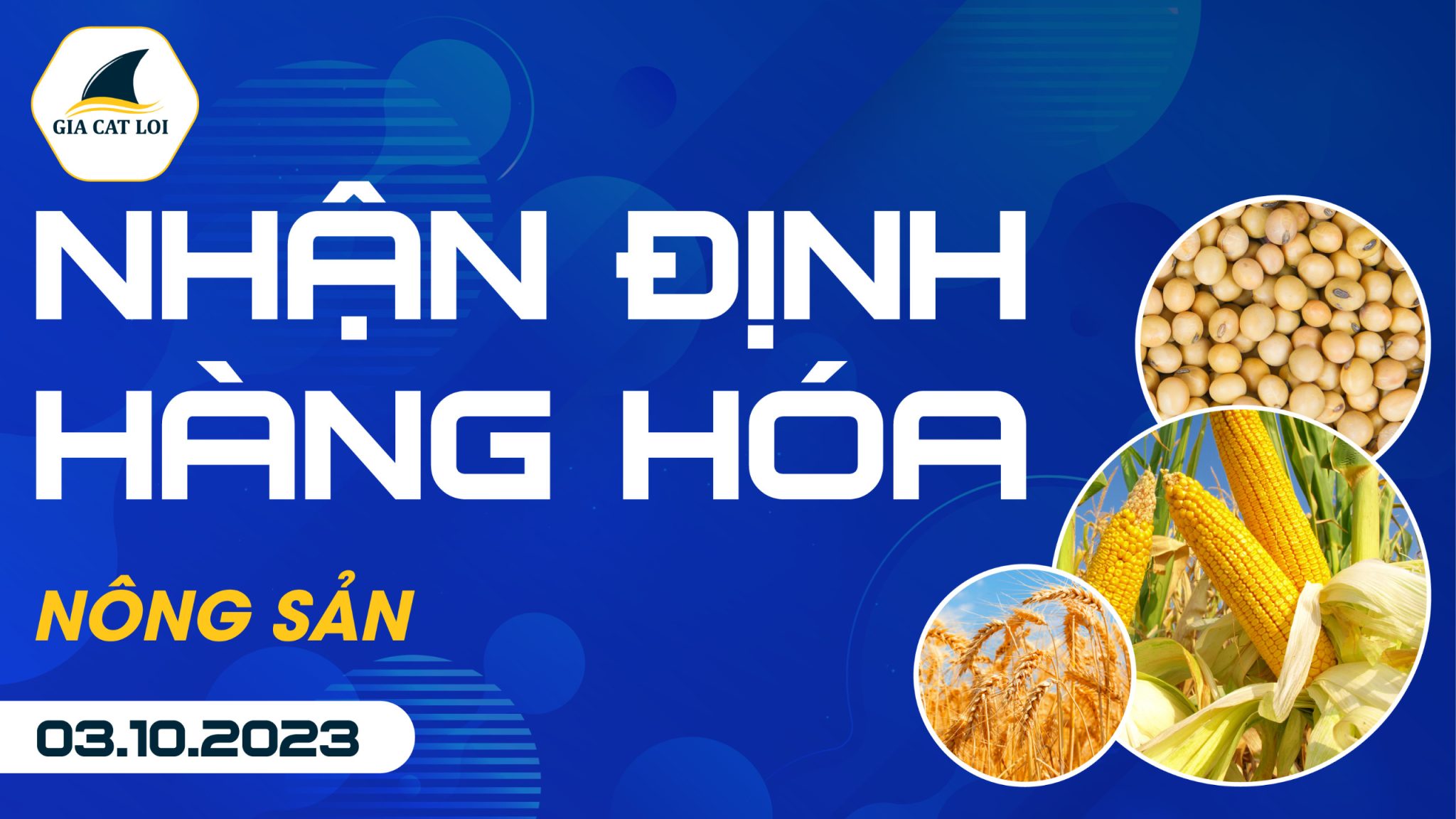 Nhận Định Hàng Hoá Nông Sản Ngày 03/10/2023