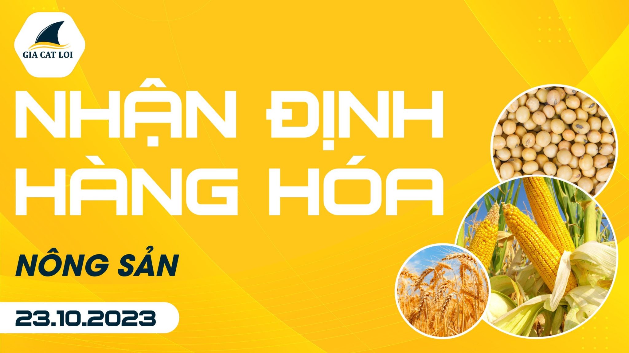 Nhận Định Hàng Hoá Nông Sản Ngày 23/10/2023