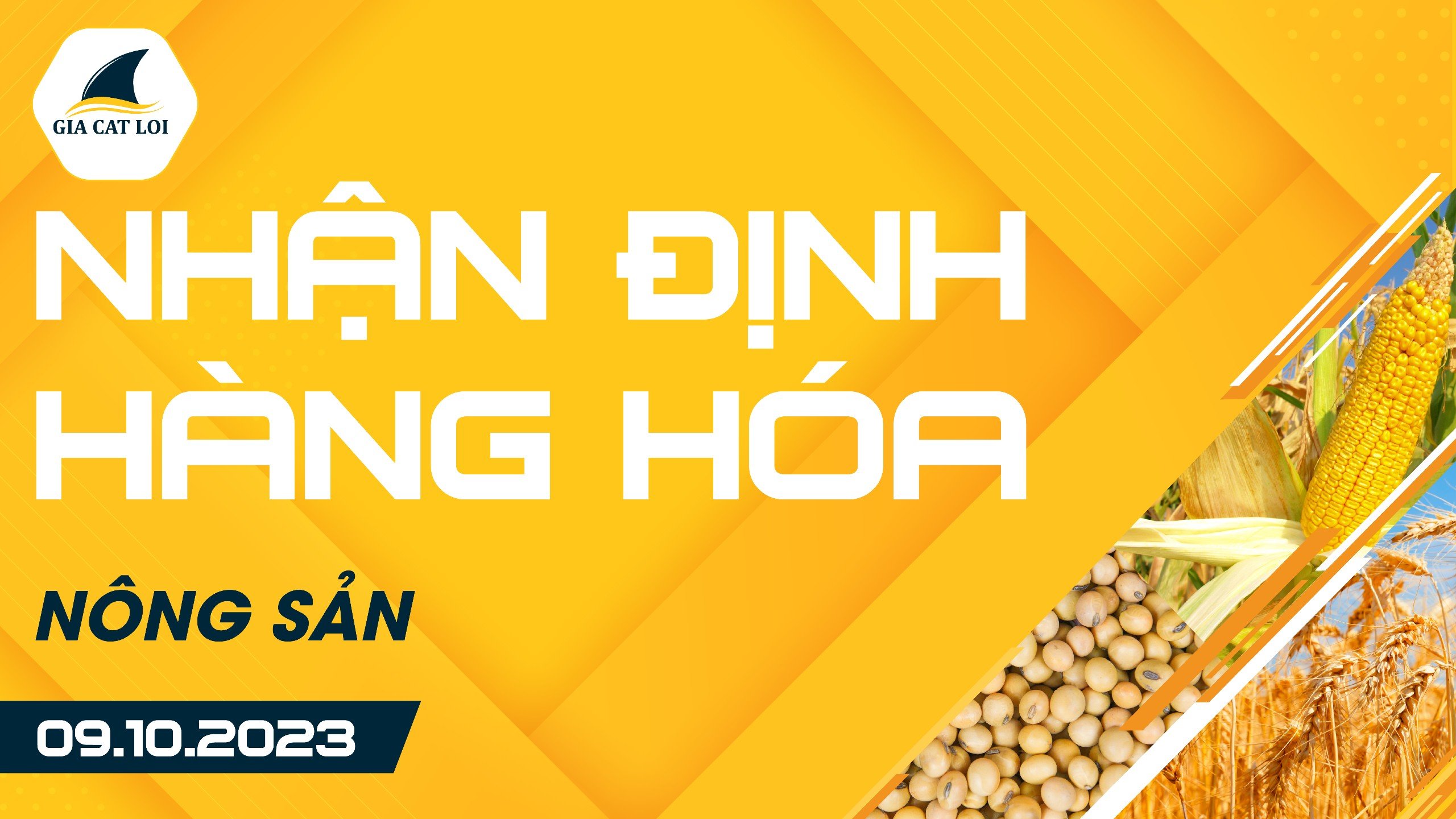 Nhận Định Hàng Hoá Nông Sản Ngày 09/10/2023